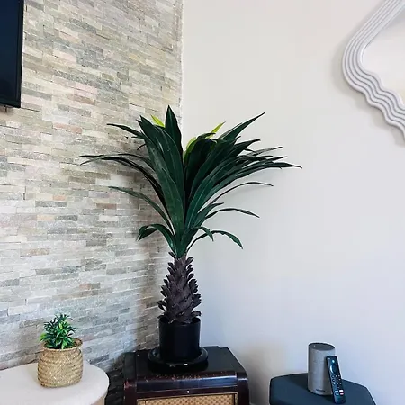 Apartment Cocoon & Bright With Bird Song *